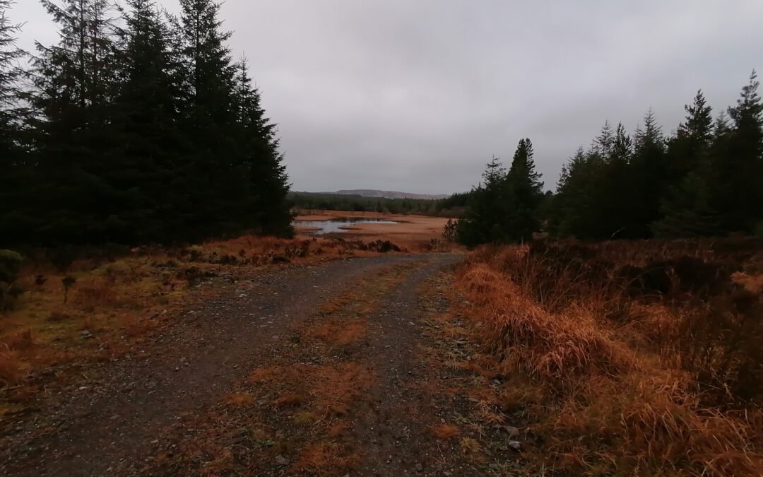 ‘The Blessing of Space’ along the Pilgrim Path