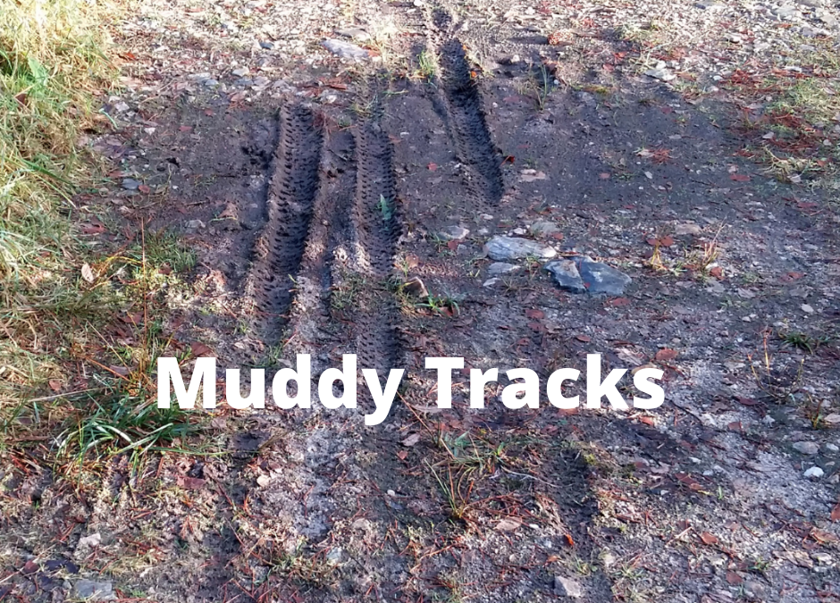 Muddy Tracks