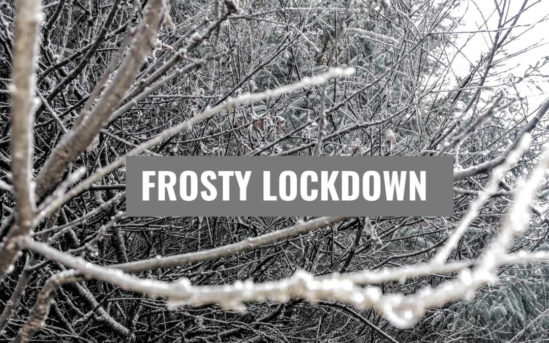 Frosty Lockdown