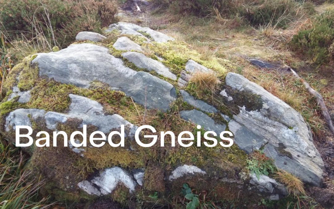 Banded Gneiss