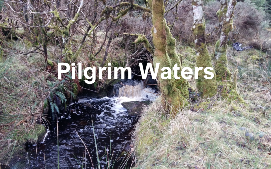 Pilgrim Waters