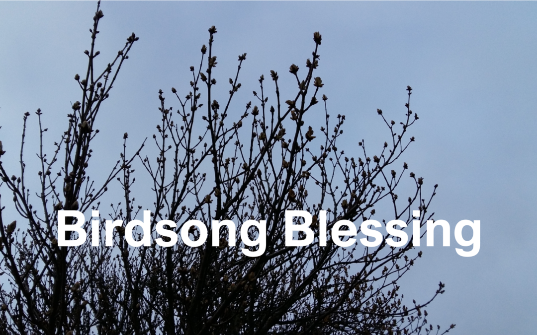 Birdsong Blessing