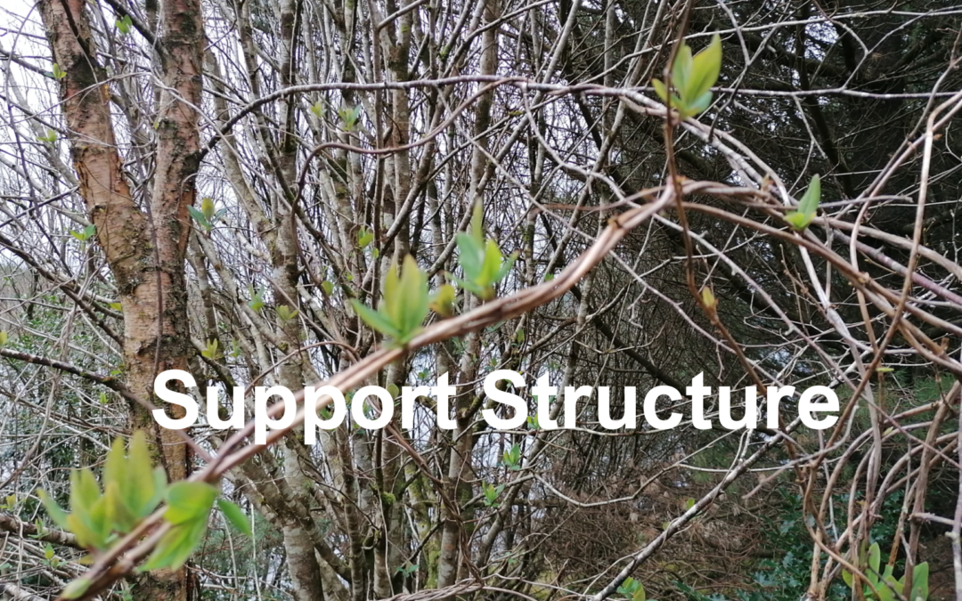 Support Structure