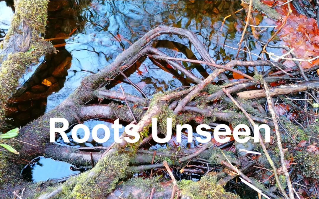 Roots Unseen