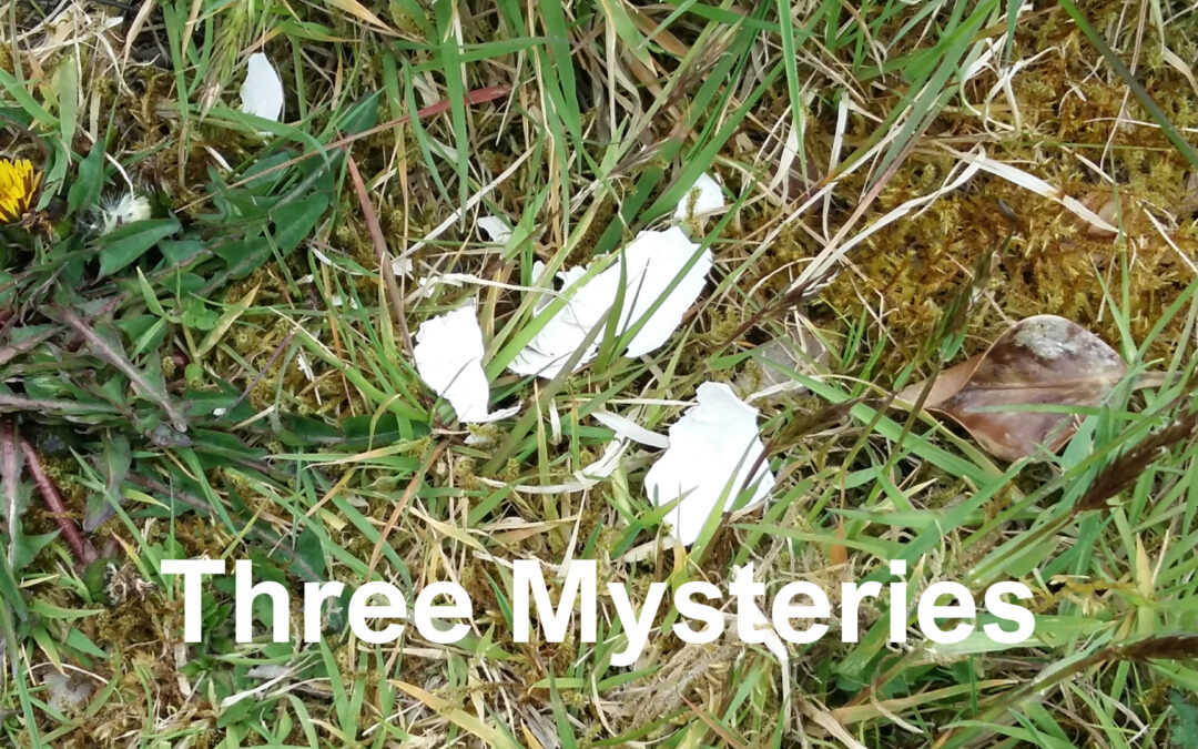 Three Mysteries