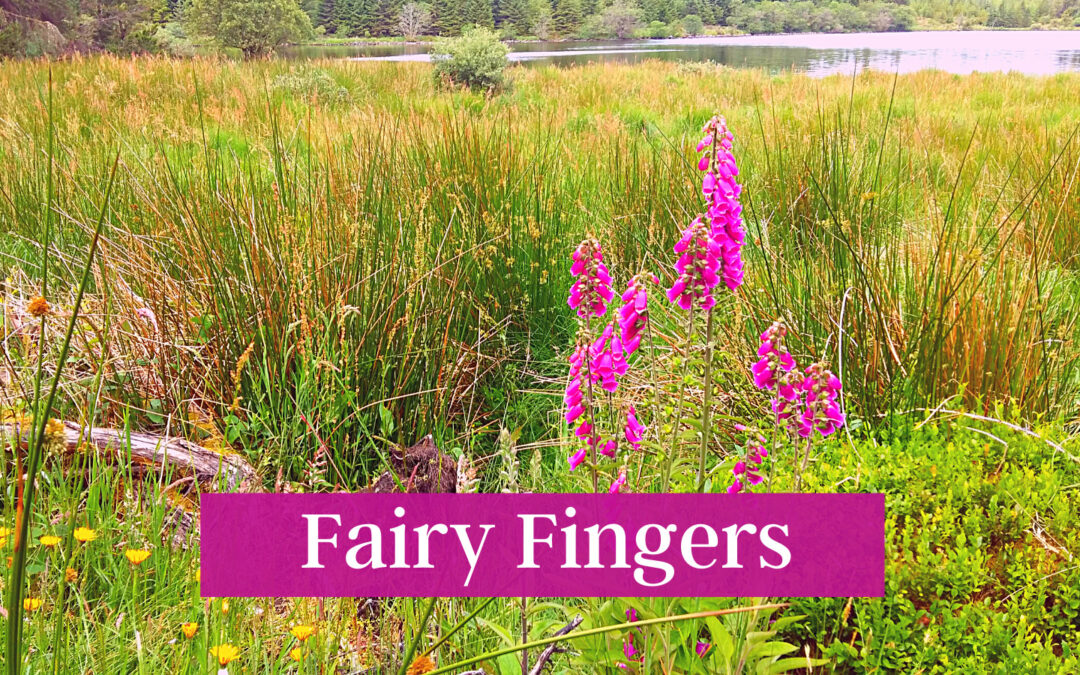 Fairy Fingers