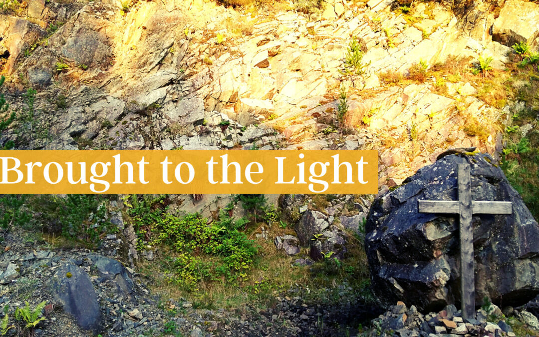 Brought to the Light: Pause and Ponder Reflection along the Pilgrim Path