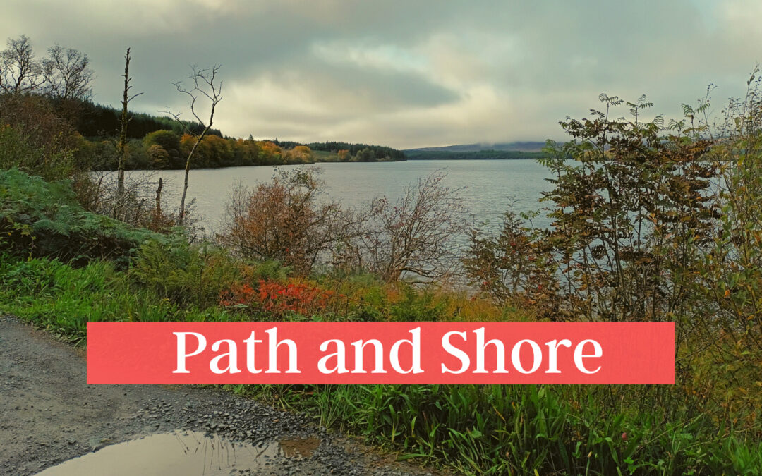 Path and Shore: Pause and Ponder Reflection along the Lough Derg Pilgrim Path