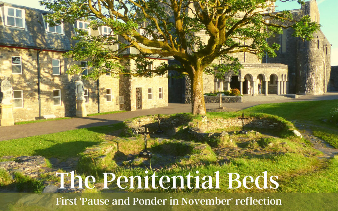 Pause and Ponder in November series – ‘The Penitential Beds’ reflection