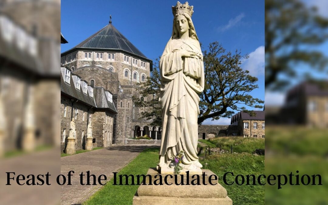 Fr La’s video for Feast of the Immaculate Conception of our Blessed Lady (Wed 8th Dec 2021)