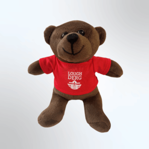 Lough Derg Teddy bear in a t-shirt
